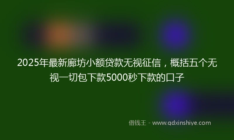 2025年最新廊坊小额贷款无视征信，概括五个无视一切包下款5000秒下款的口子