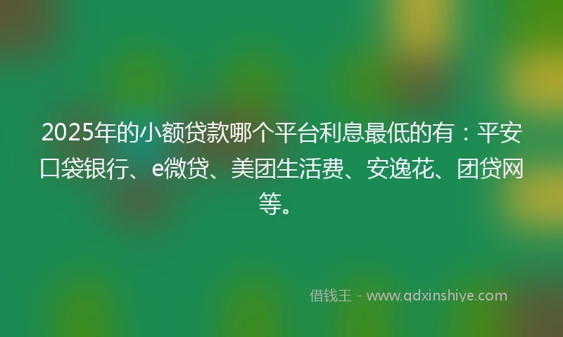 2025年的小额贷款哪个平台利息最低的有：平安口袋银行、e微贷、美团生活费、安逸花、团贷网等。