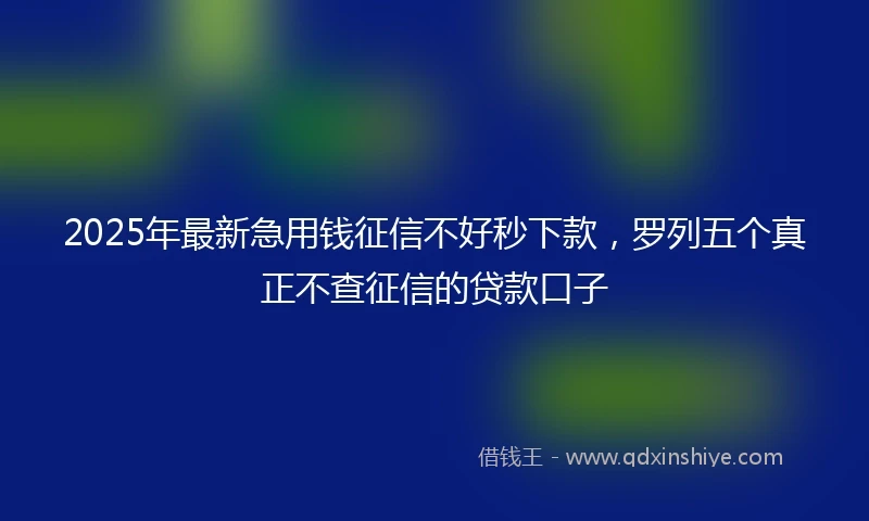 2025年最新急用钱征信不好秒下款，罗列五个真正不查征信的贷款口子