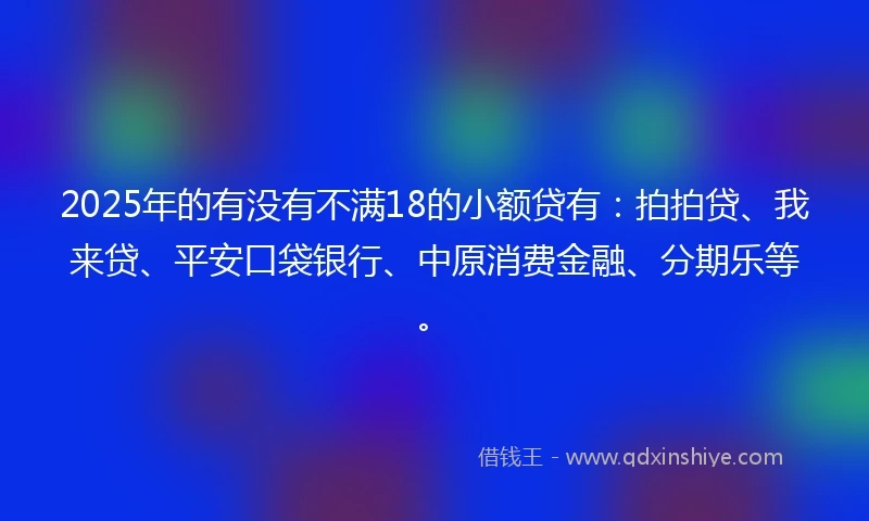 2025年的有没有不满18的小额贷有：拍拍贷、我来贷、平安口袋银行、中原消费金融、分期乐等。