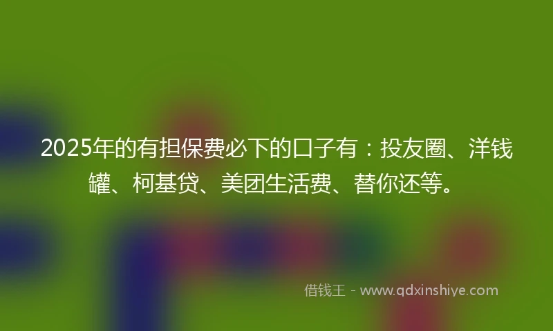 2025年的有担保费必下的口子有：投友圈、洋钱罐、柯基贷、美团生活费、替你还等。