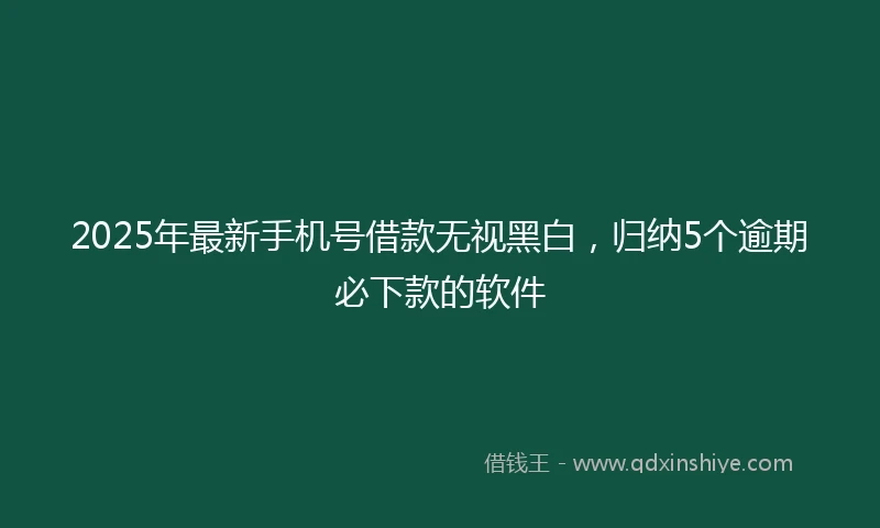 2025年最新手机号借款无视黑白，归纳5个逾期必下款的软件
