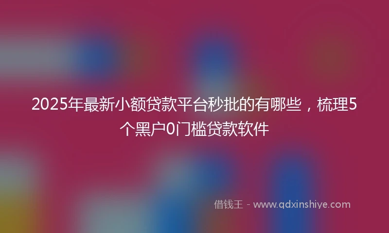 2025年最新小额贷款平台秒批的有哪些，梳理5个黑户0门槛贷款软件
