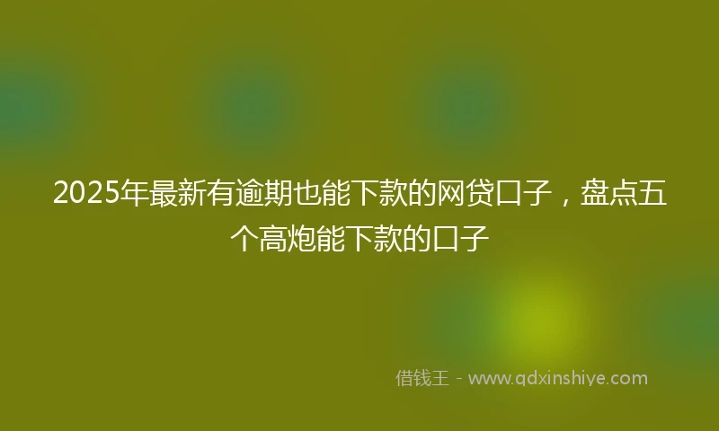 2025年最新有逾期也能下款的网贷口子，盘点五个高炮能下款的口子