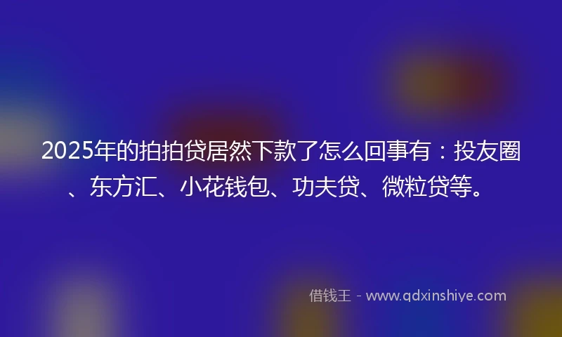 2025年的拍拍贷居然下款了怎么回事有：投友圈、东方汇、小花钱包、功夫贷、微粒贷等。