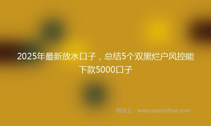 2025年最新放水口子，总结5个双黑烂户风控能下款5000口子