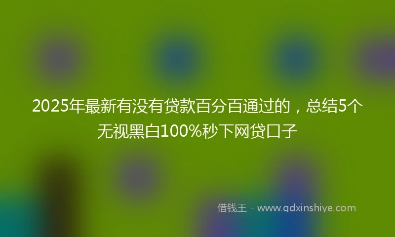 2025年最新有没有贷款百分百通过的，总结5个无视黑白100%秒下网贷口子
