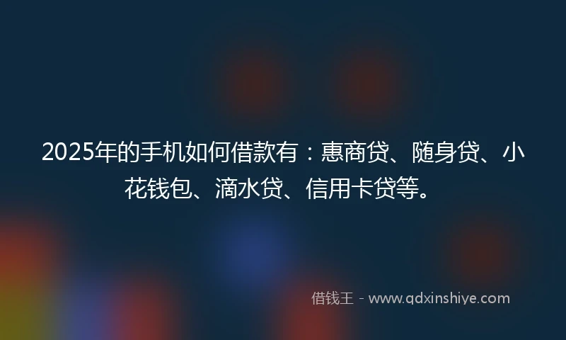 2025年的手机如何借款有：惠商贷、随身贷、小花钱包、滴水贷、信用卡贷等。