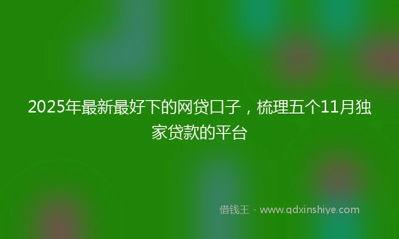 2025年最新最好下的网贷口子，梳理五个11月独家贷款的平台
