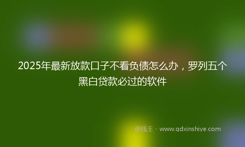 2025年最新放款口子不看负债怎么办，罗列五个黑白贷款必过的软件