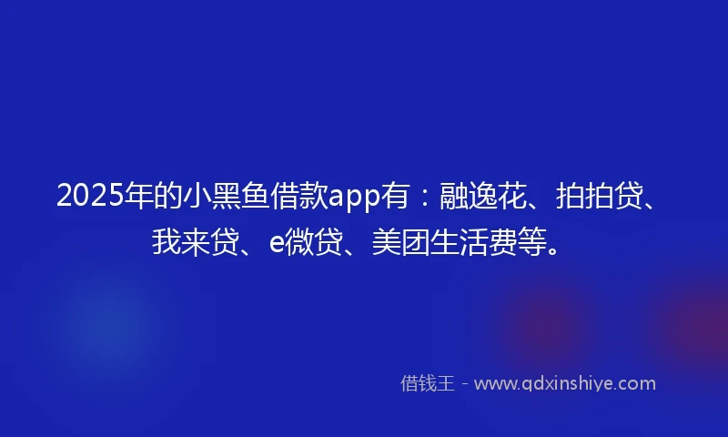 2025年的小黑鱼借款app有：融逸花、拍拍贷、我来贷、e微贷、美团生活费等。