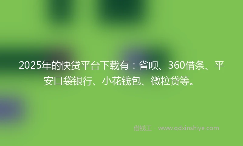 2025年的快贷平台下载有：省呗、360借条、平安口袋银行、小花钱包、微粒贷等。