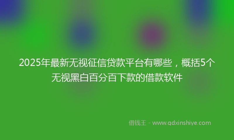 2025年最新无视征信贷款平台有哪些，概括5个无视黑白百分百下款的借款软件