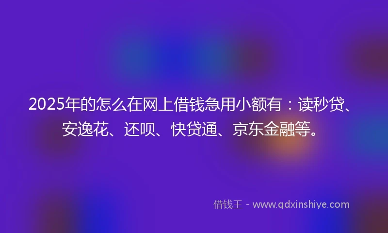 2025年的怎么在网上借钱急用小额有：读秒贷、安逸花、还呗、快贷通、京东金融等。