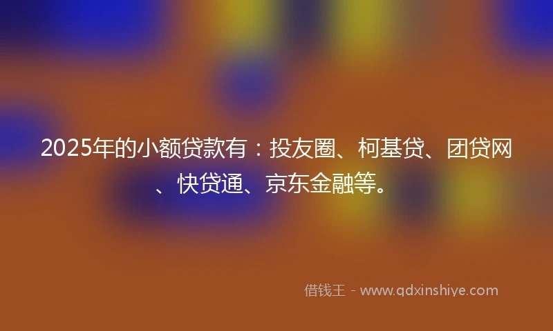 2025年的小额贷款有：投友圈、柯基贷、团贷网、快贷通、京东金融等。