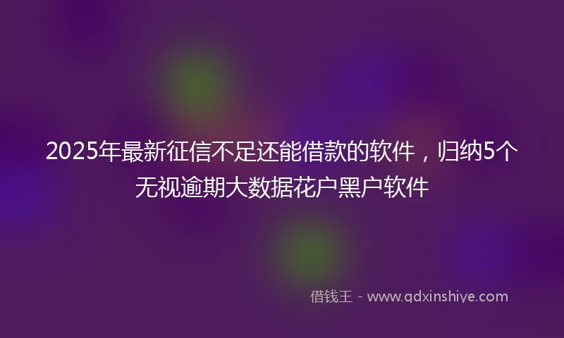 2025年最新征信不足还能借款的软件，归纳5个无视逾期大数据花户黑户软件