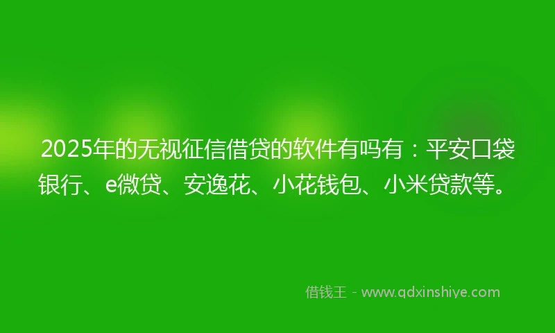 2025年的无视征信借贷的软件有吗有：平安口袋银行、e微贷、安逸花、小花钱包、小米贷款等。