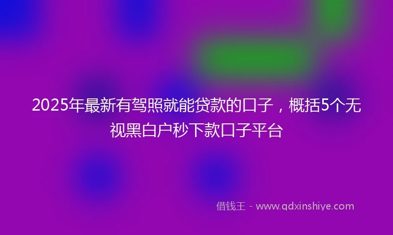 2025年最新有驾照就能贷款的口子，概括5个无视黑白户秒下款口子平台