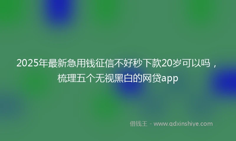 2025年最新急用钱征信不好秒下款20岁可以吗，梳理五个无视黑白的网贷app