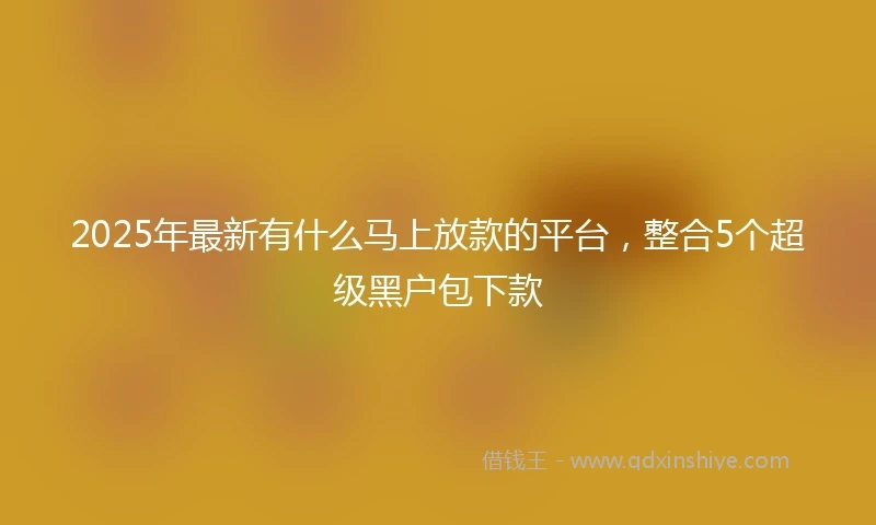 2025年最新有什么马上放款的平台，整合5个超级黑户包下款