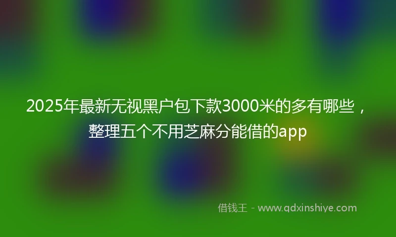 2025年最新无视黑户包下款3000米的多有哪些，整理五个不用芝麻分能借的app