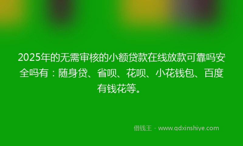 2025年的无需审核的小额贷款在线放款可靠吗安全吗有：随身贷、省呗、花呗、小花钱包、百度有钱花等。