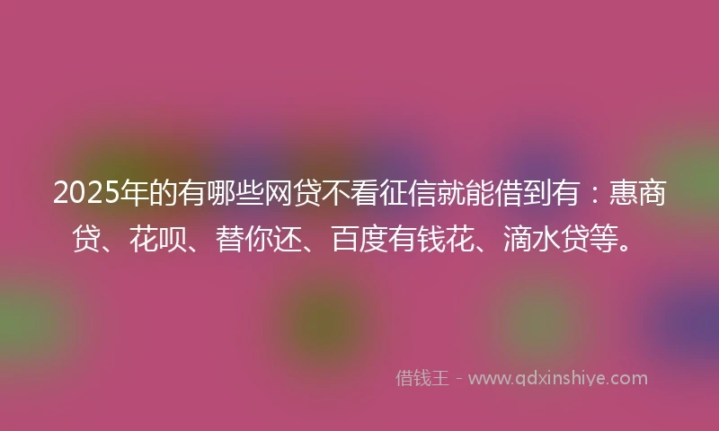 2025年的有哪些网贷不看征信就能借到有：惠商贷、花呗、替你还、百度有钱花、滴水贷等。