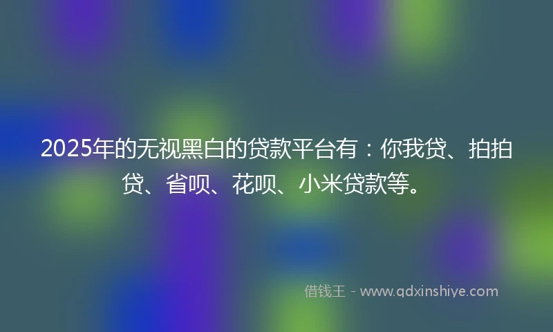 2025年的无视黑白的贷款平台有：你我贷、拍拍贷、省呗、花呗、小米贷款等。