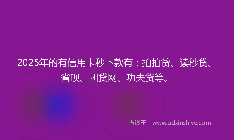 2025年的有信用卡秒下款有：拍拍贷、读秒贷、省呗、团贷网、功夫贷等。