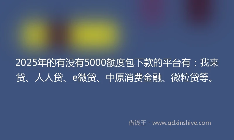 2025年的有没有5000额度包下款的平台有：我来贷、人人贷、e微贷、中原消费金融、微粒贷等。