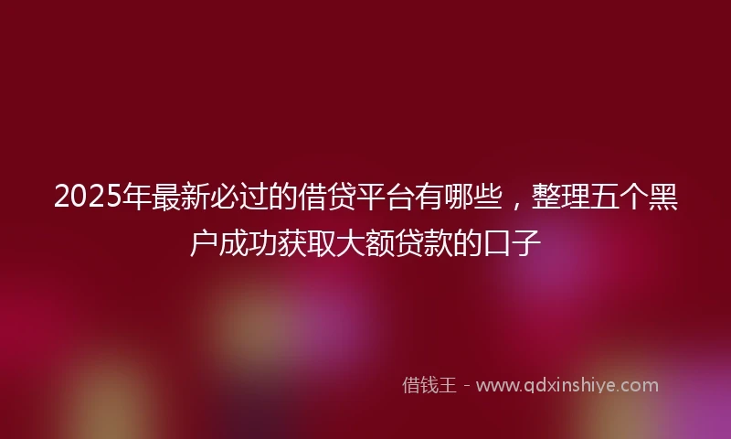 2025年最新必过的借贷平台有哪些，整理五个黑户成功获取大额贷款的口子
