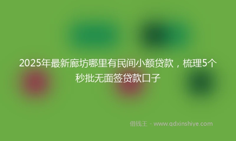 2025年最新廊坊哪里有民间小额贷款，梳理5个秒批无面签贷款口子