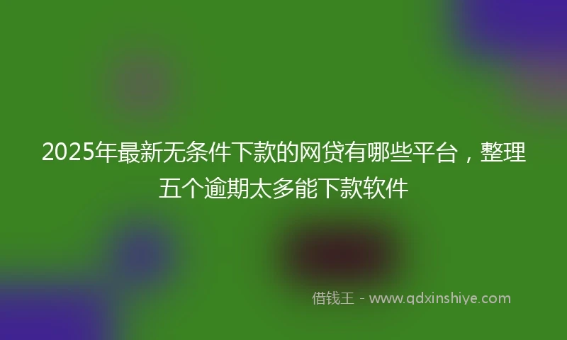 2025年最新无条件下款的网贷有哪些平台，整理五个逾期太多能下款软件