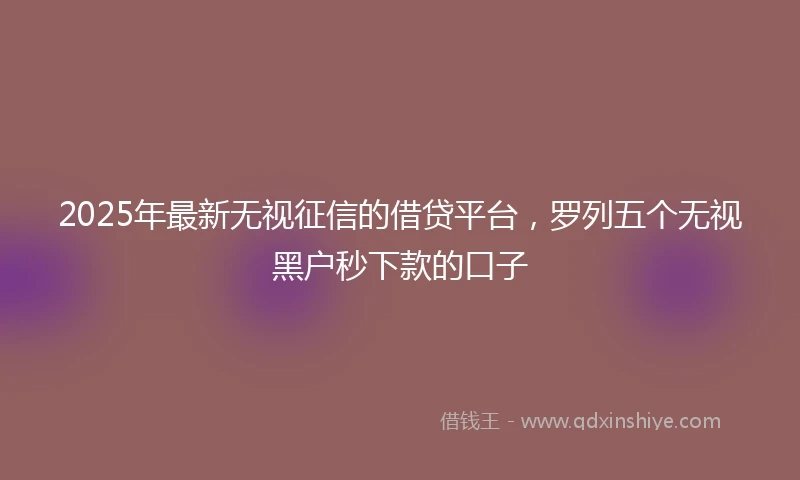 2025年最新无视征信的借贷平台，罗列五个无视黑户秒下款的口子