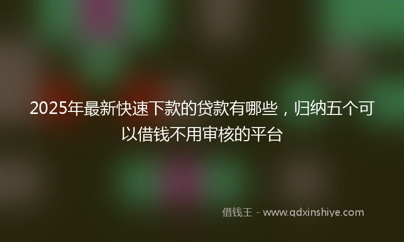 2025年最新快速下款的贷款有哪些，归纳五个可以借钱不用审核的平台