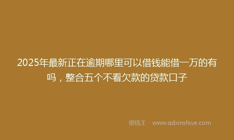 2025年最新正在逾期哪里可以借钱能借一万的有吗，整合五个不看欠款的贷款口子