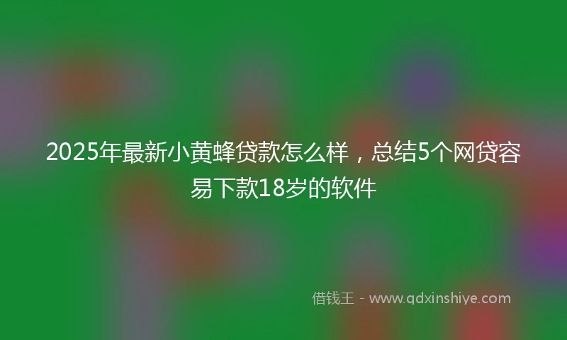2025年最新小黄蜂贷款怎么样，总结5个网贷容易下款18岁的软件