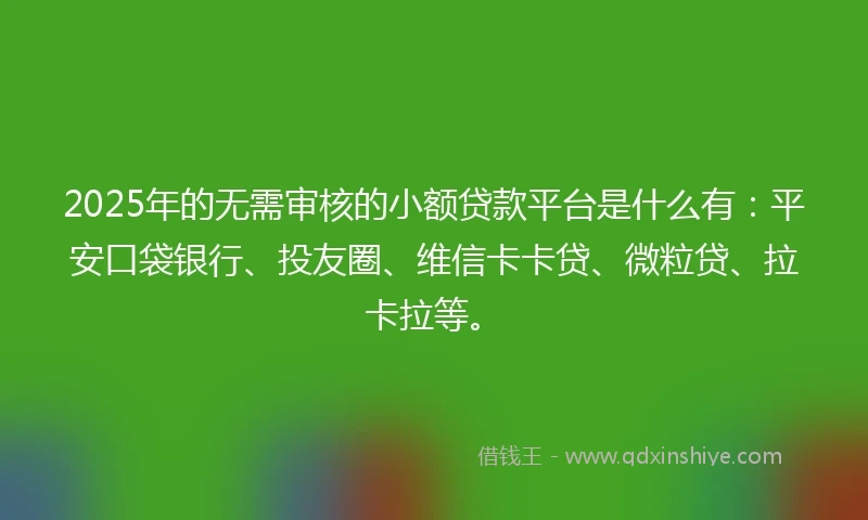 2025年的无需审核的小额贷款平台是什么有：平安口袋银行、投友圈、维信卡卡贷、微粒贷、拉卡拉等。