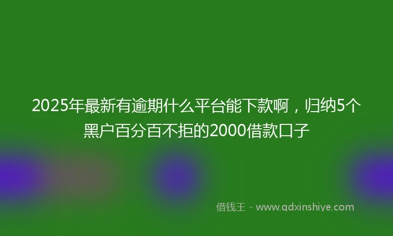 2025年最新有逾期什么平台能下款啊，归纳5个黑户百分百不拒的2000借款口子