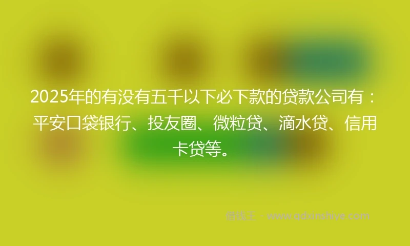 2025年的有没有五千以下必下款的贷款公司有：平安口袋银行、投友圈、微粒贷、滴水贷、信用卡贷等。