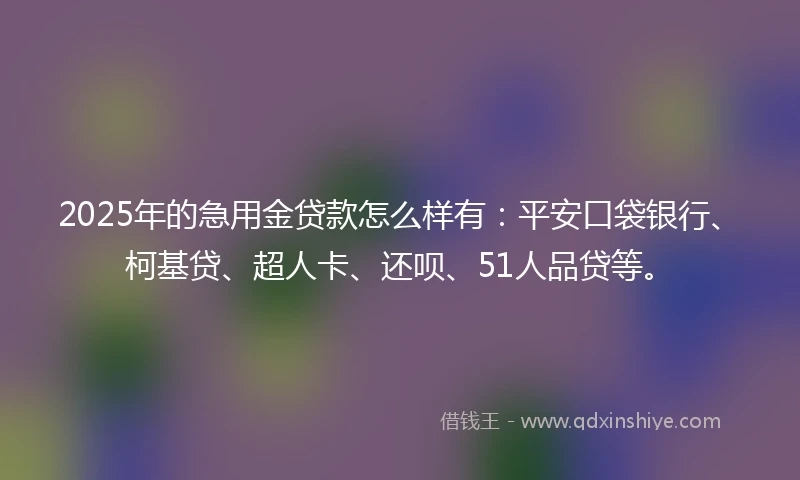 2025年的急用金贷款怎么样有：平安口袋银行、柯基贷、超人卡、还呗、51人品贷等。