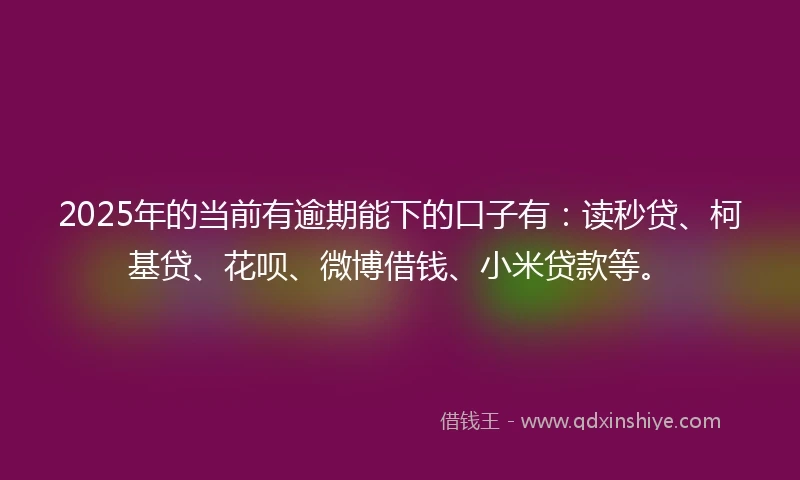 2025年的当前有逾期能下的口子有：读秒贷、柯基贷、花呗、微博借钱、小米贷款等。