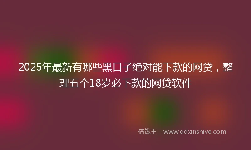 2025年最新有哪些黑口子绝对能下款的网贷，整理五个18岁必下款的网贷软件
