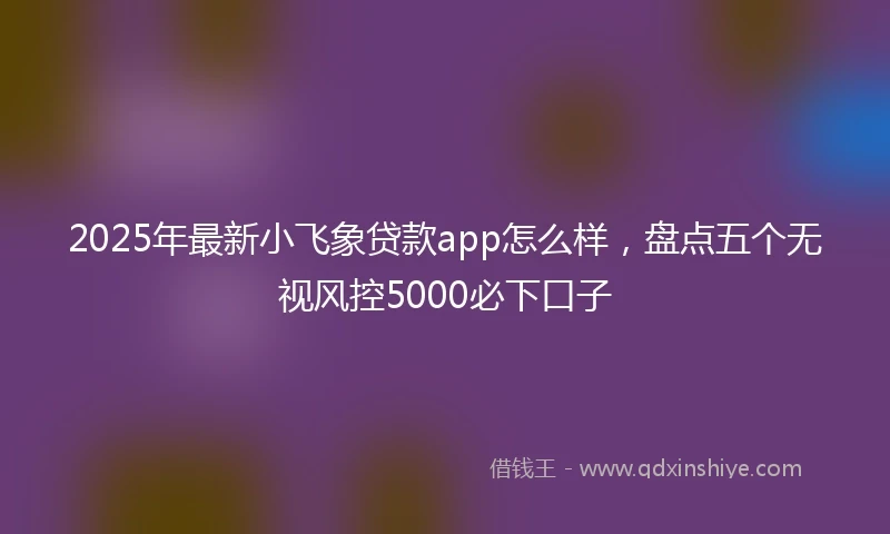 2025年最新小飞象贷款app怎么样，盘点五个无视风控5000必下口子