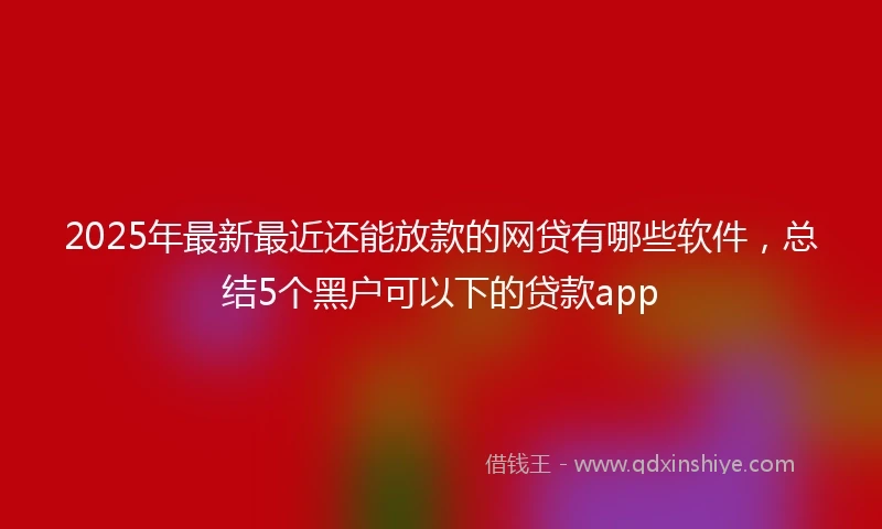 2025年最新最近还能放款的网贷有哪些软件，总结5个黑户可以下的贷款app