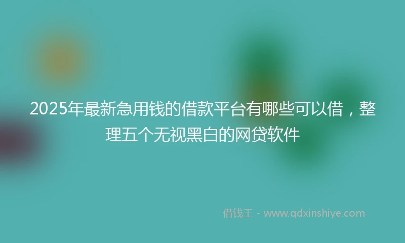 2025年最新急用钱的借款平台有哪些可以借，整理五个无视黑白的网贷软件