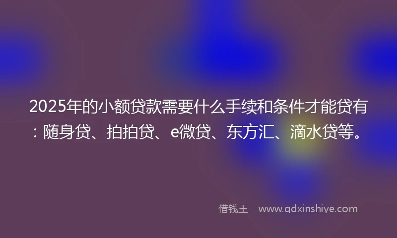 2025年的小额贷款需要什么手续和条件才能贷有：随身贷、拍拍贷、e微贷、东方汇、滴水贷等。