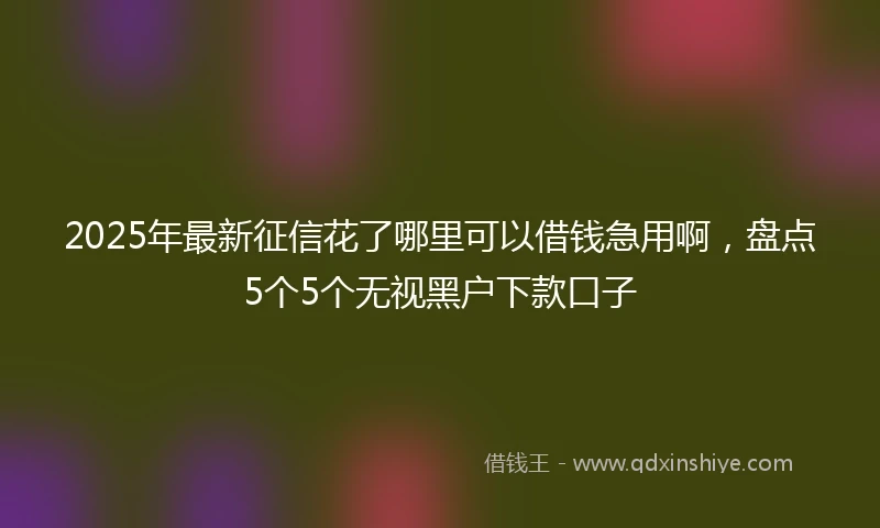 2025年最新征信花了哪里可以借钱急用啊，盘点5个5个无视黑户下款口子