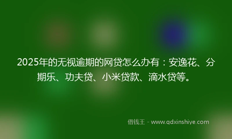 2025年的无视逾期的网贷怎么办有：安逸花、分期乐、功夫贷、小米贷款、滴水贷等。