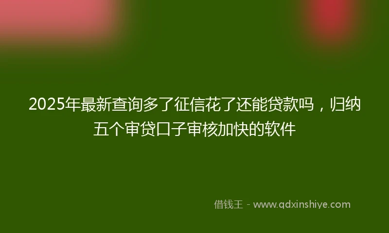 2025年最新查询多了征信花了还能贷款吗，归纳五个审贷口子审核加快的软件